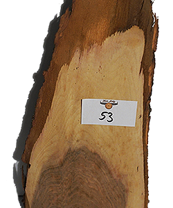 53